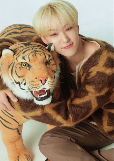 Cardigan Motif Quadrillé Hoshi Seventeen Manteau Pull Mixte à Carreaux