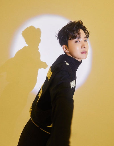 Gilet Rayure noir et blanc à col en V Pull J Hope BTS Mode Kpop Visuel