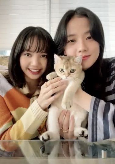 Cardigan Tricoté Coucher Soleil Couleur Pastel House of Sunny Lisa Kpop