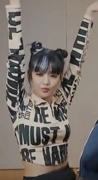 Chemise Crop Top Lettre Majuscule Minnie Idle Challenge TikTok Tomboy