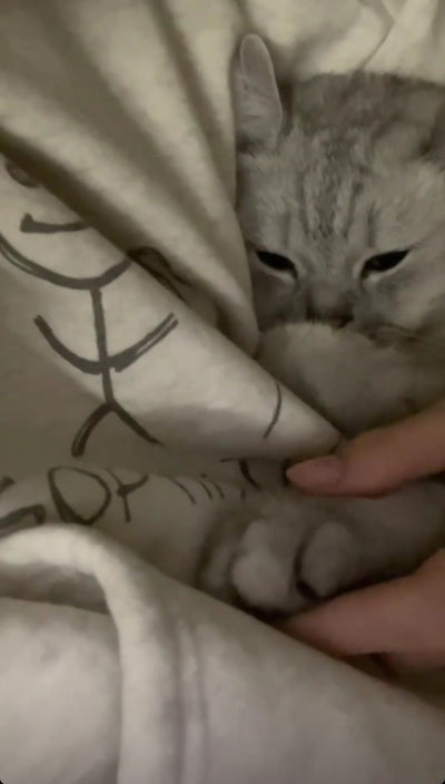 Hoodie Urban Sophistication Pull à Capuche Gris Lisa BlackPink