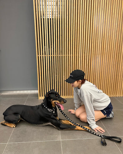 Paire de Chaussettes Mignon Lapin Clown et Motifs Colorés Lisa BlackPink