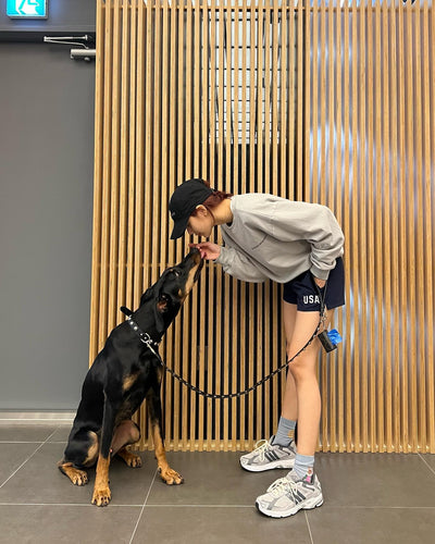 Paire de Chaussettes Mignon Lapin Clown et Motifs Colorés Lisa BlackPink