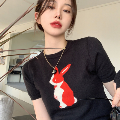 Pull Avec Manches Coupées Motif Lapin Mode Coréenne Leeseo IVE S Cawaii