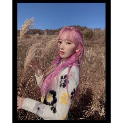 Pull Fleuri en maille Intarsia Kpop Miyawaki Sakura IZ One Produce 48