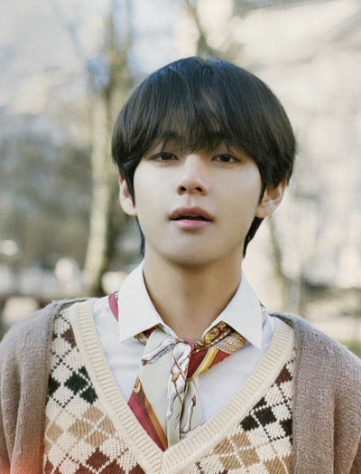 Pull Rétro à carreaux Multicolor en diamant à col en V Taehyung BTS